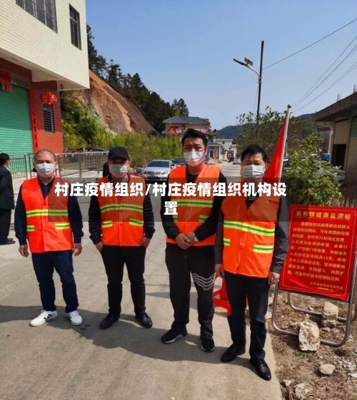 村庄疫情组织/村庄疫情组织机构设置