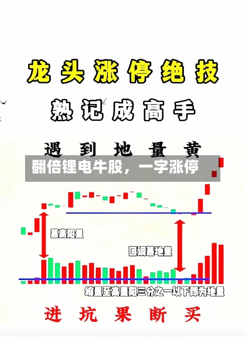 翻倍锂电牛股，一字涨停-第3张图片