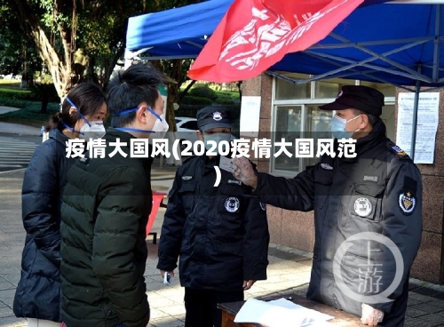 疫情大国风(2020疫情大国风范)