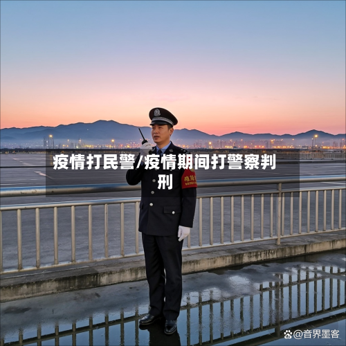 疫情打民警/疫情期间打警察判刑
