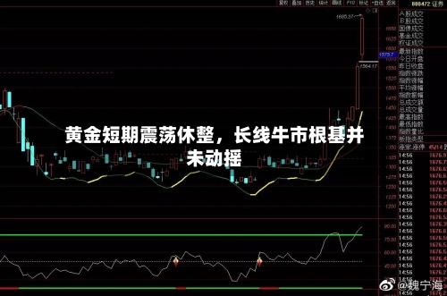 黄金短期震荡休整，长线牛市根基并未动摇-第3张图片