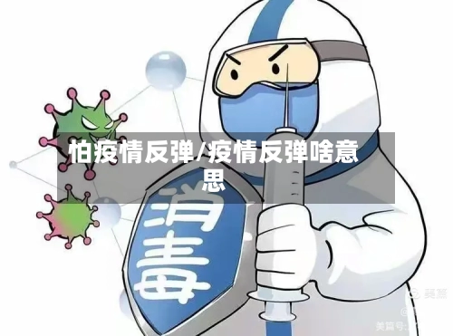 怕疫情反弹/疫情反弹啥意思-第3张图片
