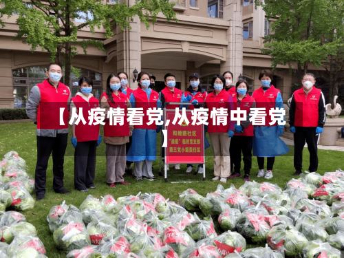 【从疫情看党,从疫情中看党】-第3张图片