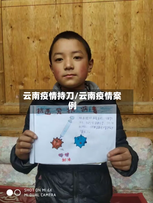 云南疫情持刀/云南疫情案例-第2张图片