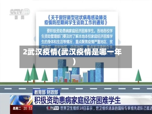 2武汉疫情(武汉疫情是哪一年)-第3张图片
