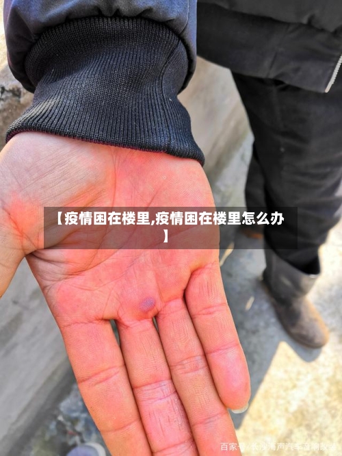 【疫情困在楼里,疫情困在楼里怎么办】-第3张图片