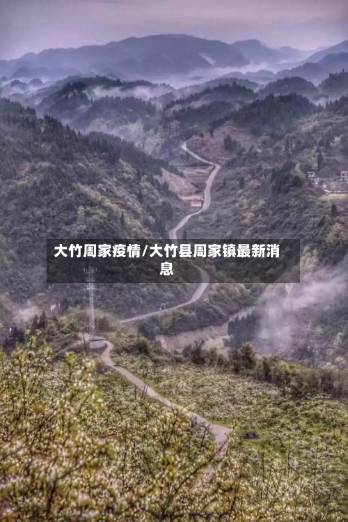 大竹周家疫情/大竹县周家镇最新消息-第2张图片