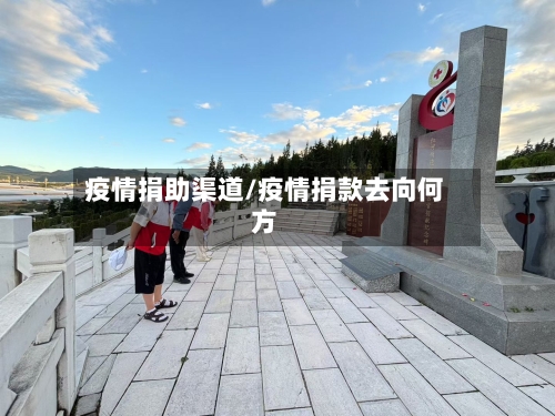 疫情捐助渠道/疫情捐款去向何方