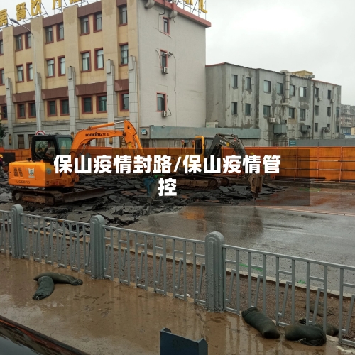 保山疫情封路/保山疫情管控