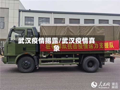 武汉疫情揭露/武汉疫情真象-第2张图片