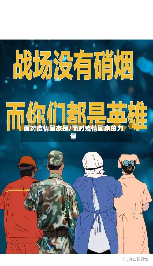 面对疫情国家是/面对疫情国家的力量-第2张图片