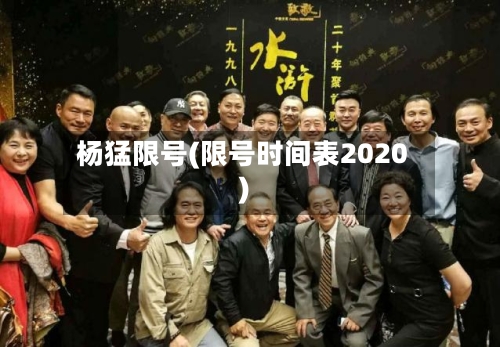 杨猛限号(限号时间表2020)