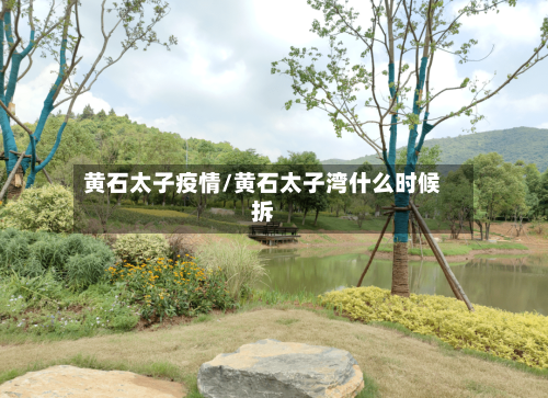 黄石太子疫情/黄石太子湾什么时候拆