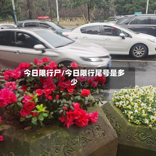 今日限行尸/今日限行尾号是多少