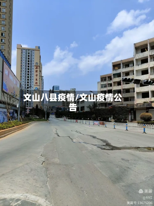 文山八县疫情/文山疫情公告-第2张图片