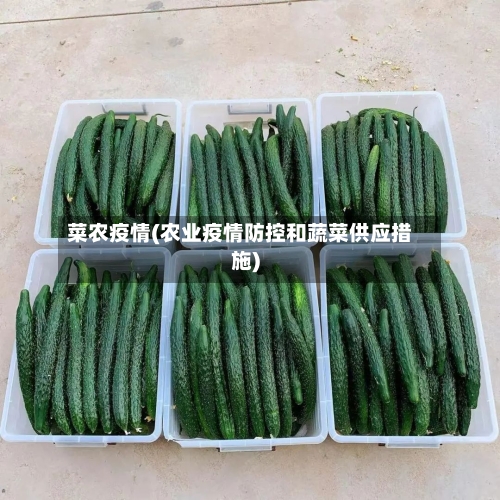 菜农疫情(农业疫情防控和蔬菜供应措施)-第2张图片