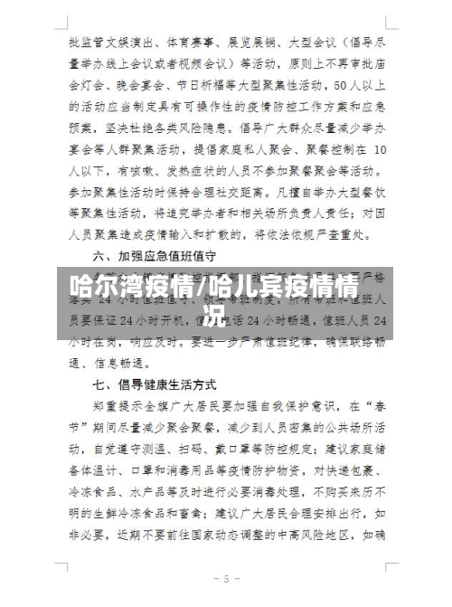 哈尔湾疫情/哈儿宾疫情情况