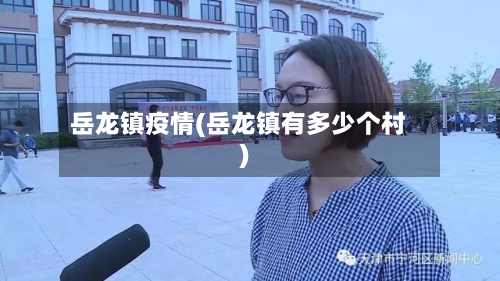 岳龙镇疫情(岳龙镇有多少个村)
