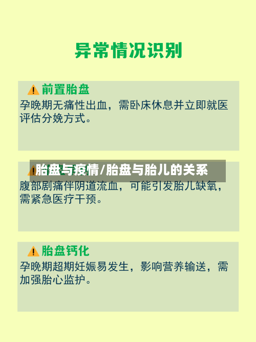 胎盘与疫情/胎盘与胎儿的关系