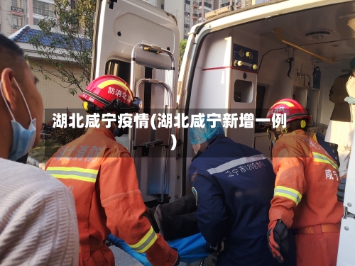 湖北咸宁疫情(湖北咸宁新增一例)