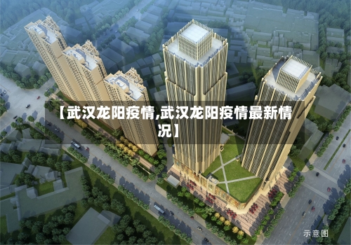 【武汉龙阳疫情,武汉龙阳疫情最新情况】