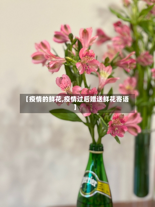 【疫情的鲜花,疫情过后赠送鲜花寄语】