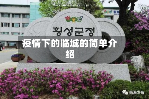疫情下的临城的简单介绍