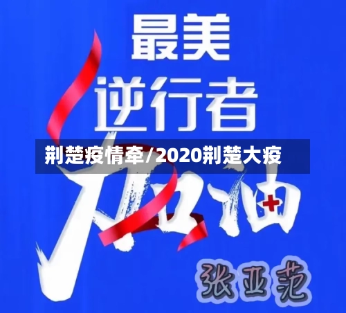 荆楚疫情牵/2020荆楚大疫