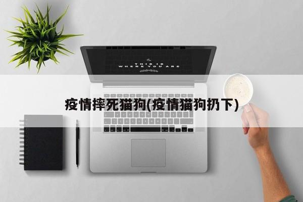 疫情摔死猫狗(疫情猫狗扔下)