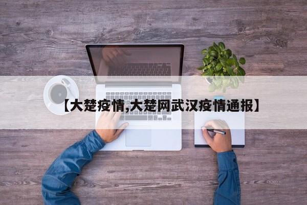 【大楚疫情,大楚网武汉疫情通报】